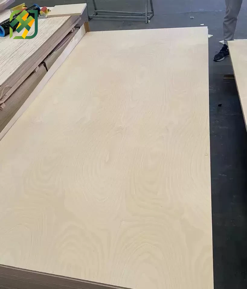 Brich plywood