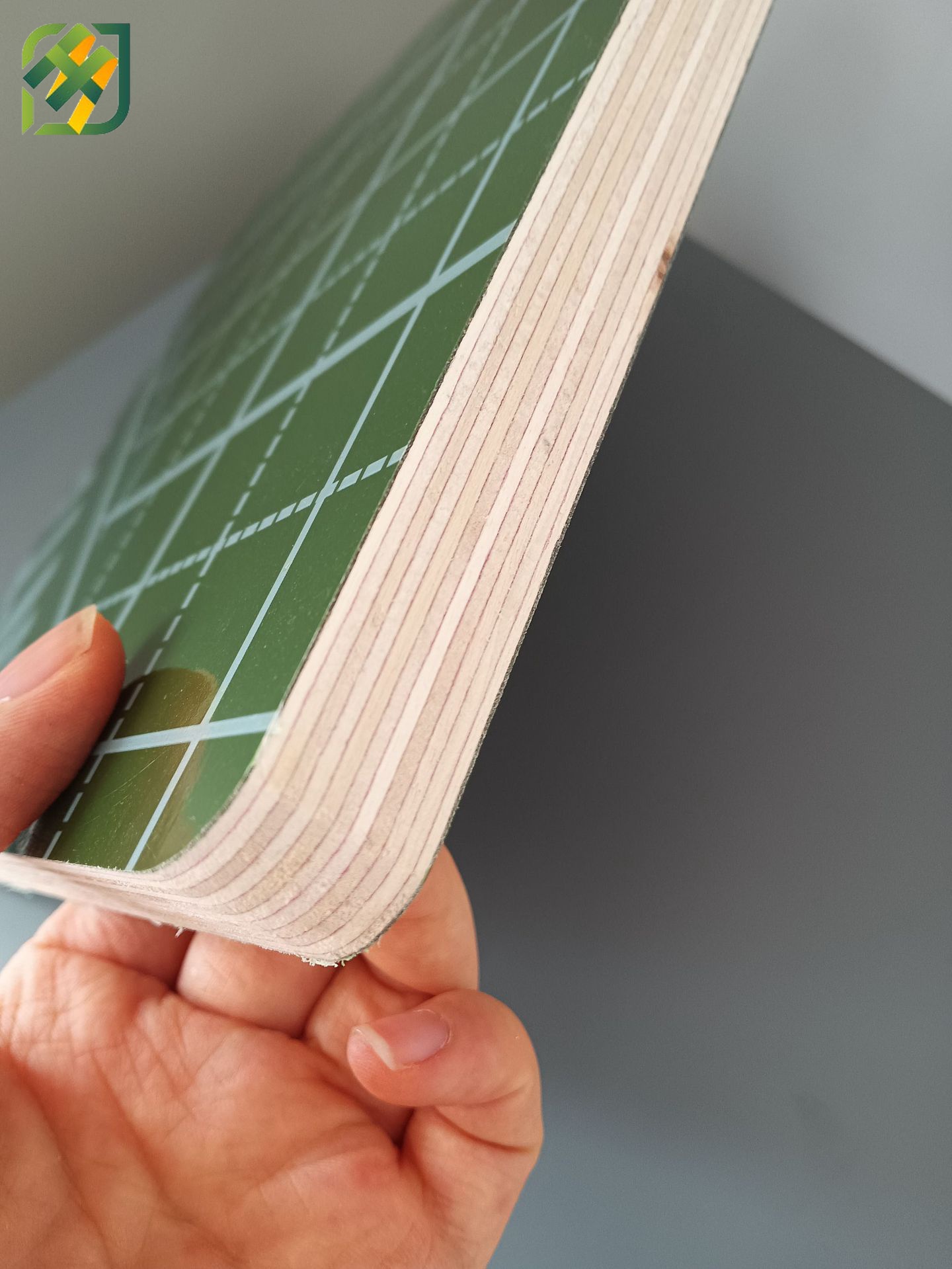 Green PP Plastic Film Faced Reusable Shuttering Plywood for Concrete Construction