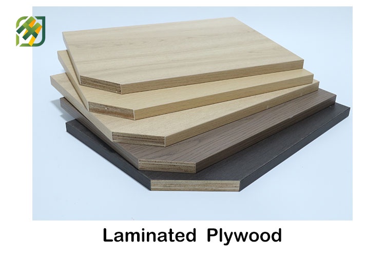 Furniture Plywood