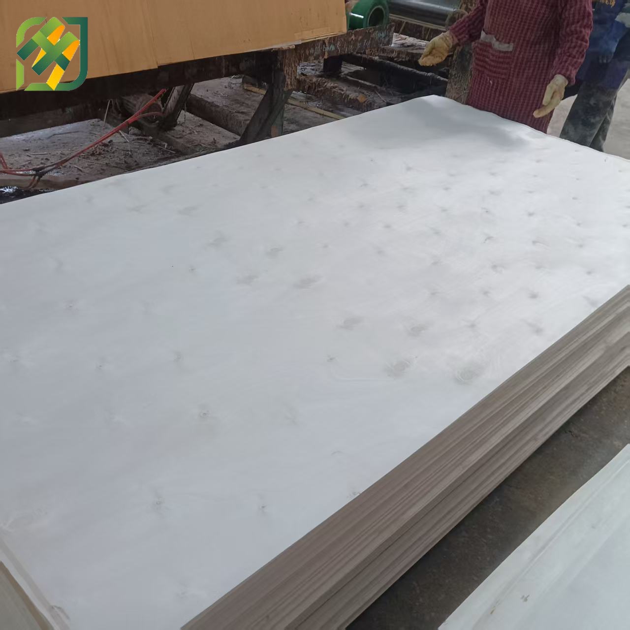 Commercial Plywood