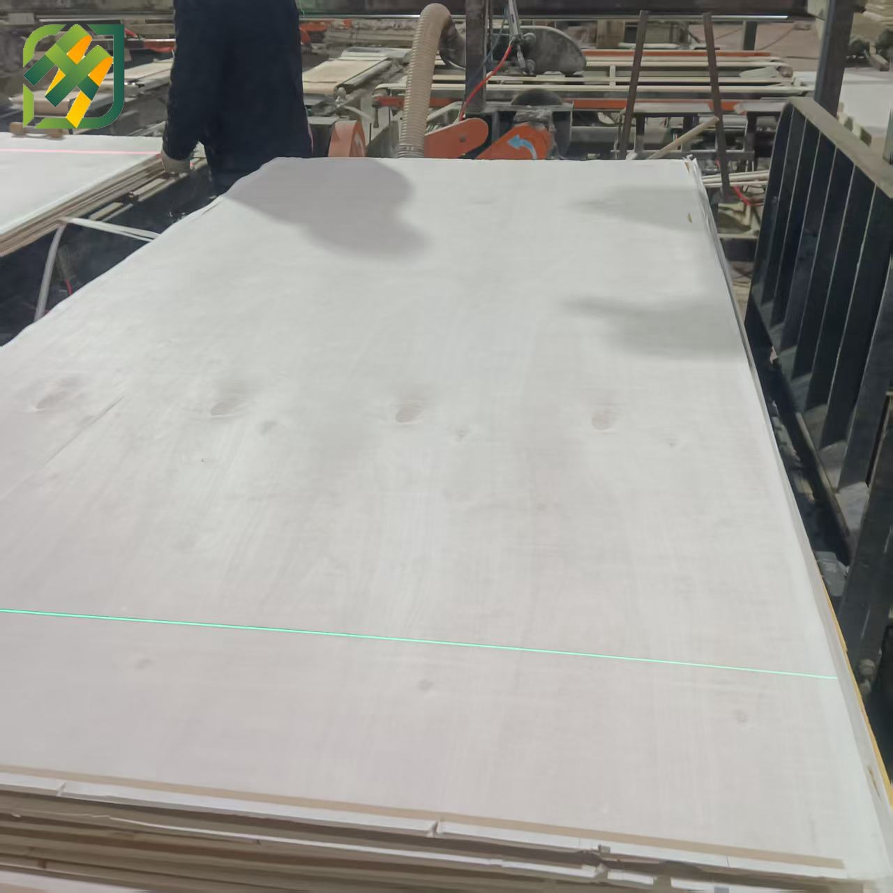Commercial Plywood