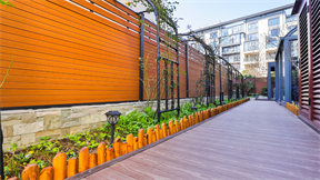 WPC Fence