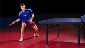 Sumoflex Table Tennis