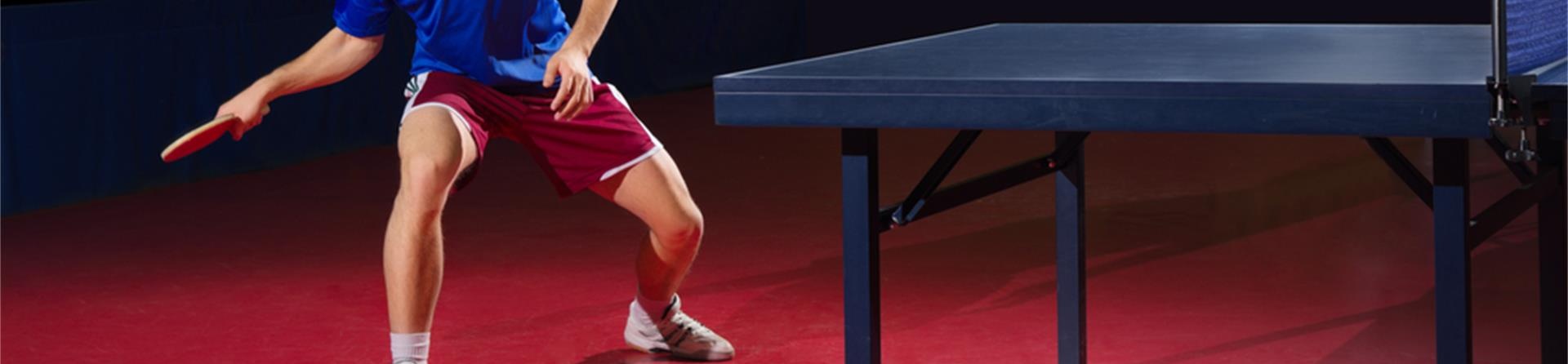 Sumoflex Table Tennis