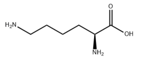 L-Lysine Cas 56-87-1