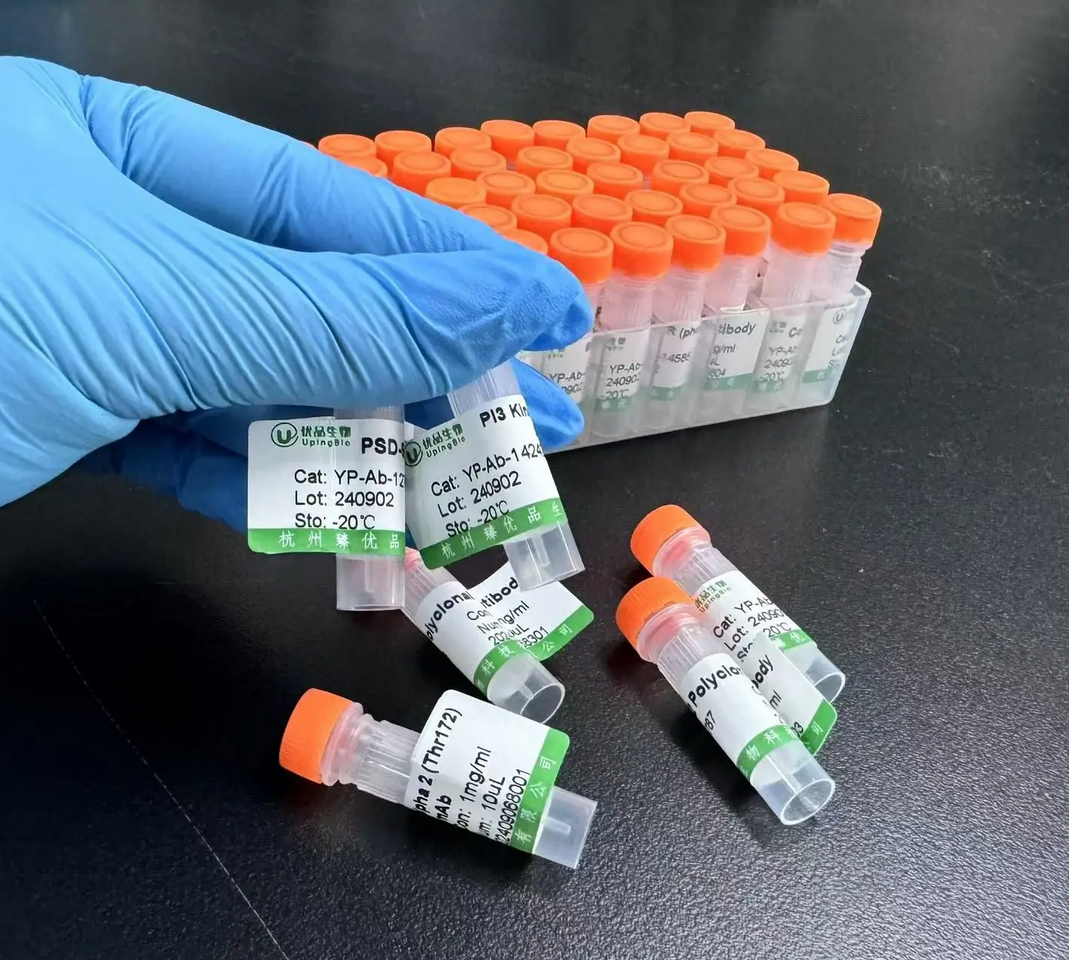 Introduction to 3,3',5,5'-Tetramethylbenzidine (TMB) CAS 54827-17-7
