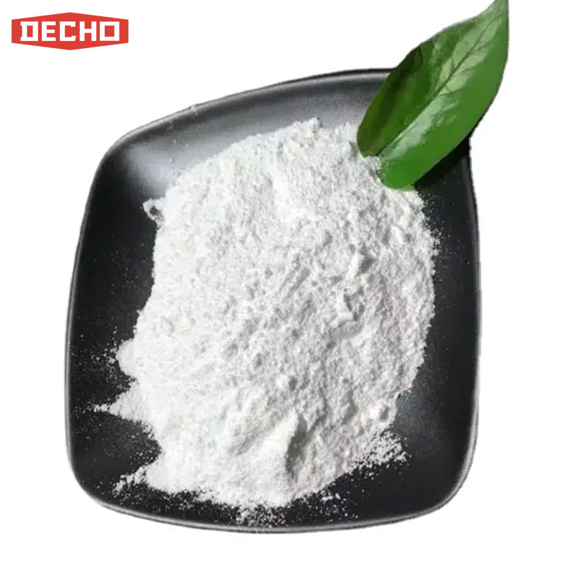 SEBACIC ACID DISODIUM SALT Cas 17265-14-4