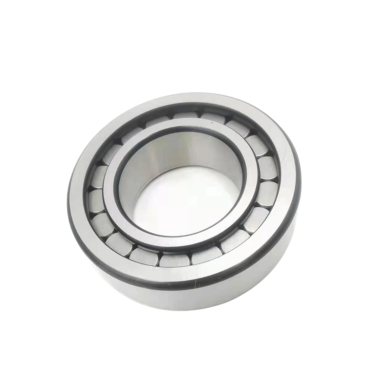 INA SL bearings