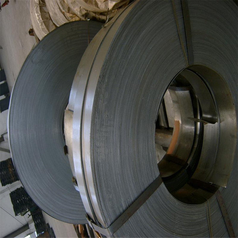 Stainless Steel Strips