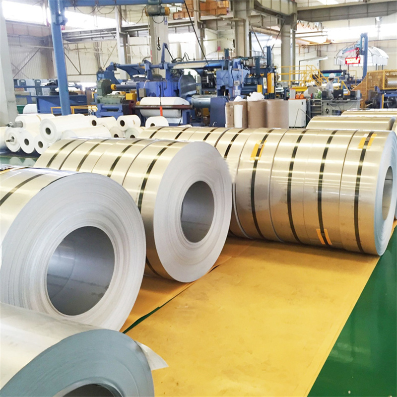 Stainless Steel Strips