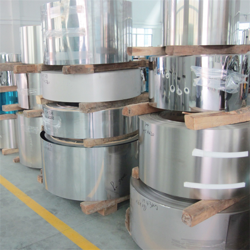 Stainless Steel Strips