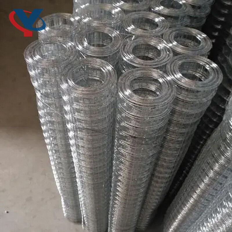 Galvanized mesh