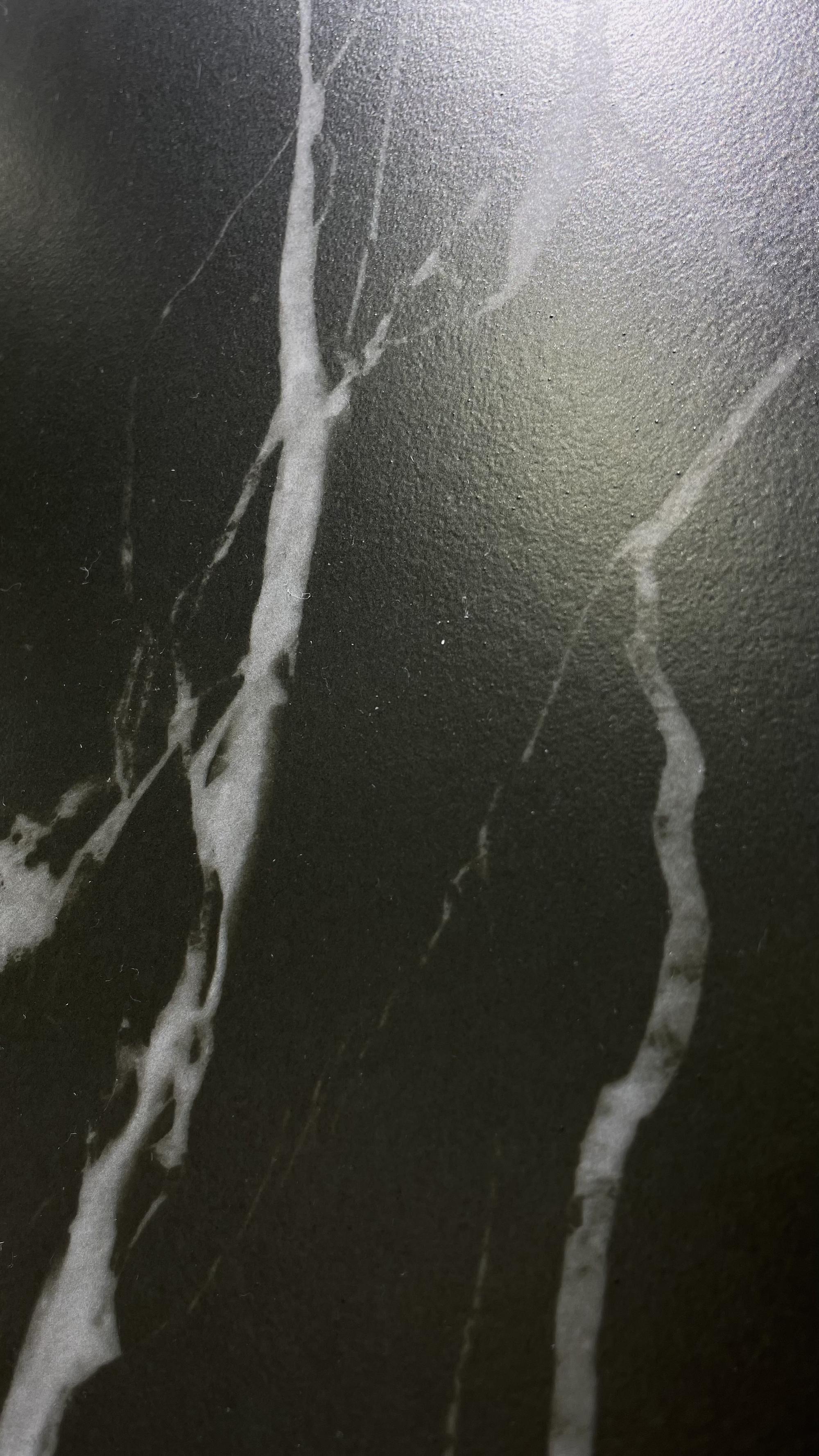 Black & White Root