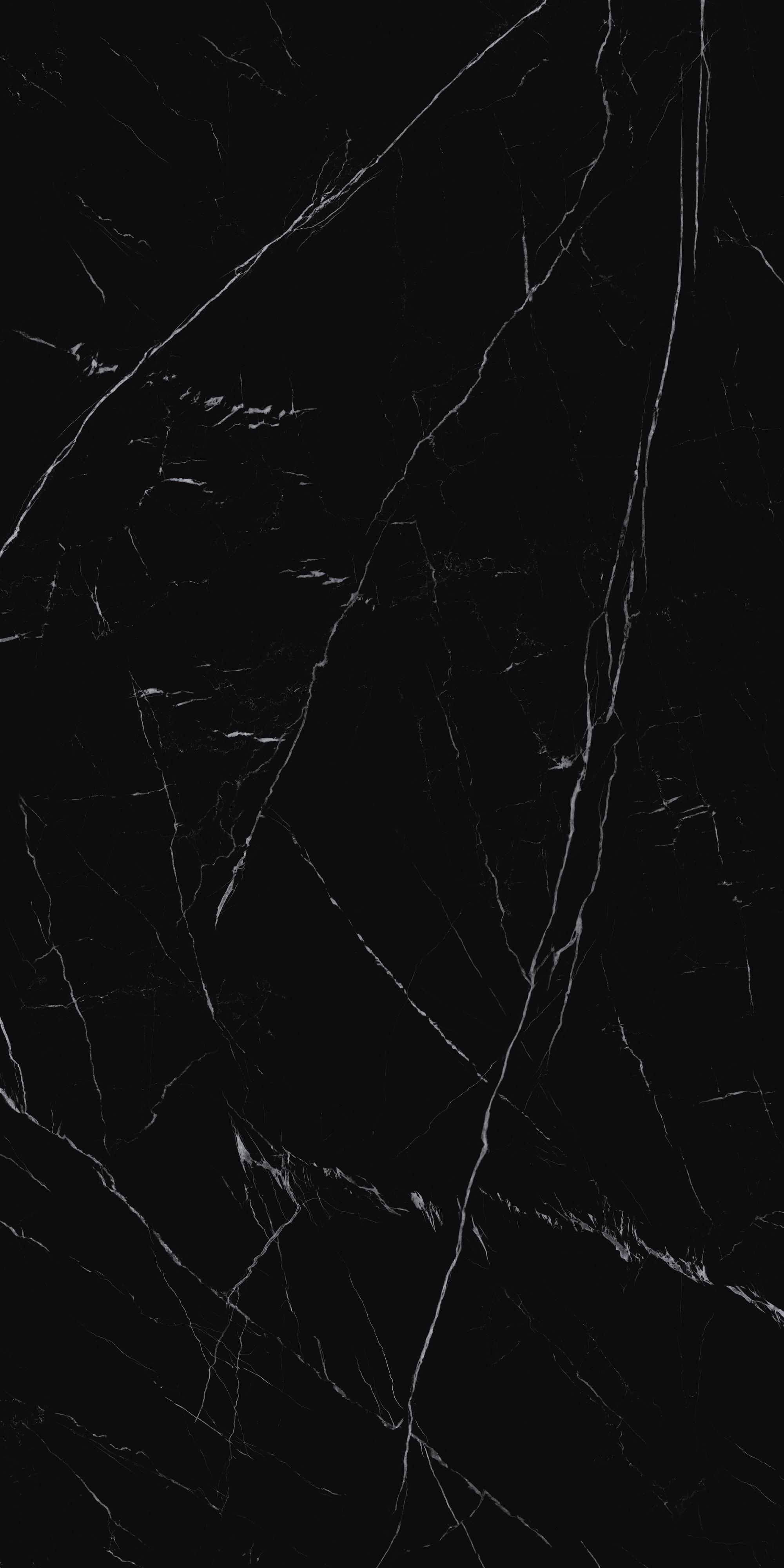 Black & White Root