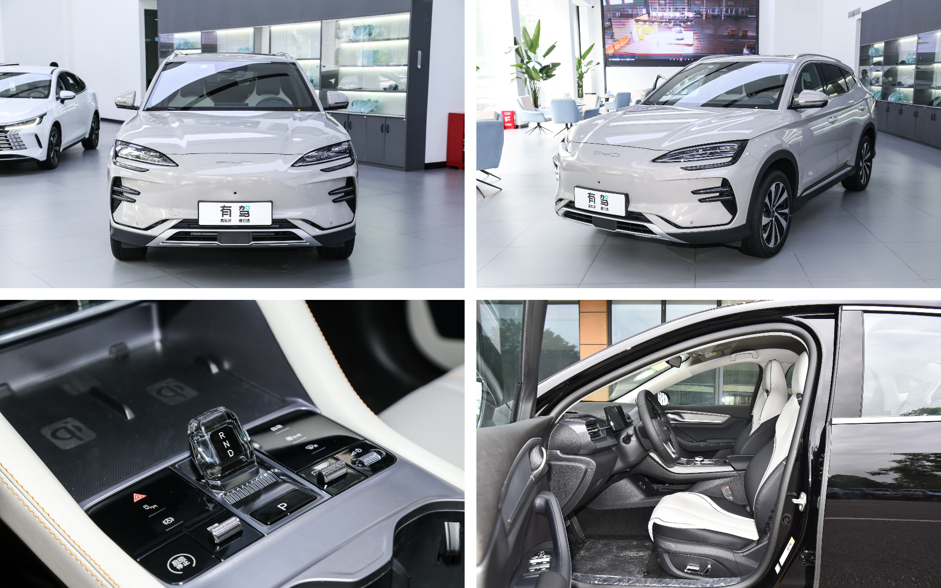 下载 - 2024-01-27T145443.155.jpg