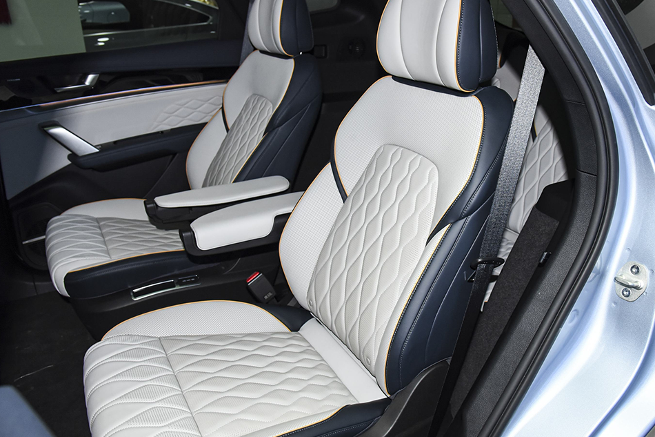 ​BYD Tang New Energy