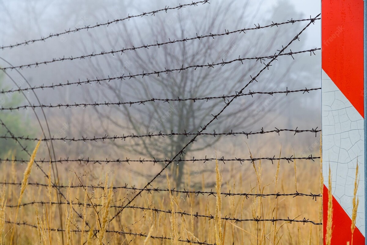 Barbed Wire