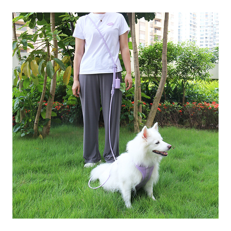 Dog leash can be inclined to hang a single leash to walk the dog. Small and medium-sized dog Teddy Keji pet round rope leash