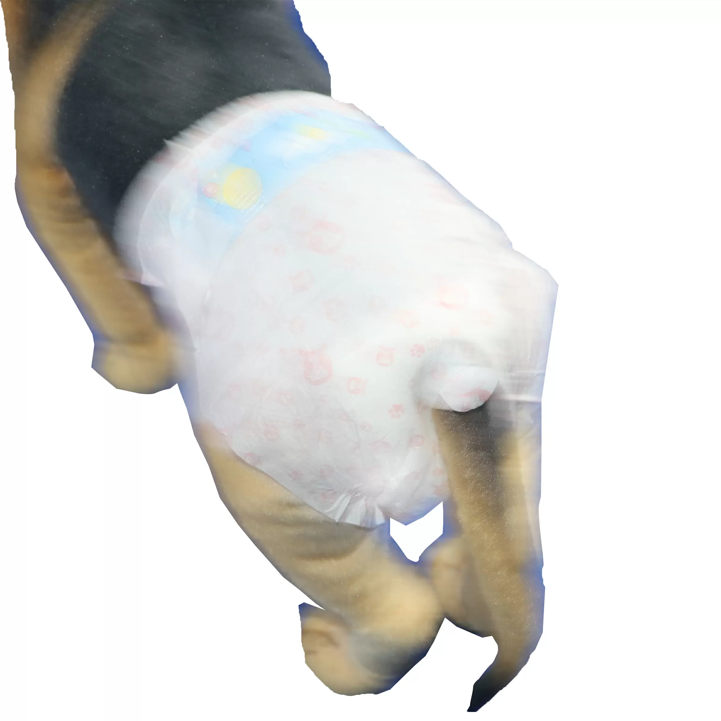 Dog Disposable Diapers