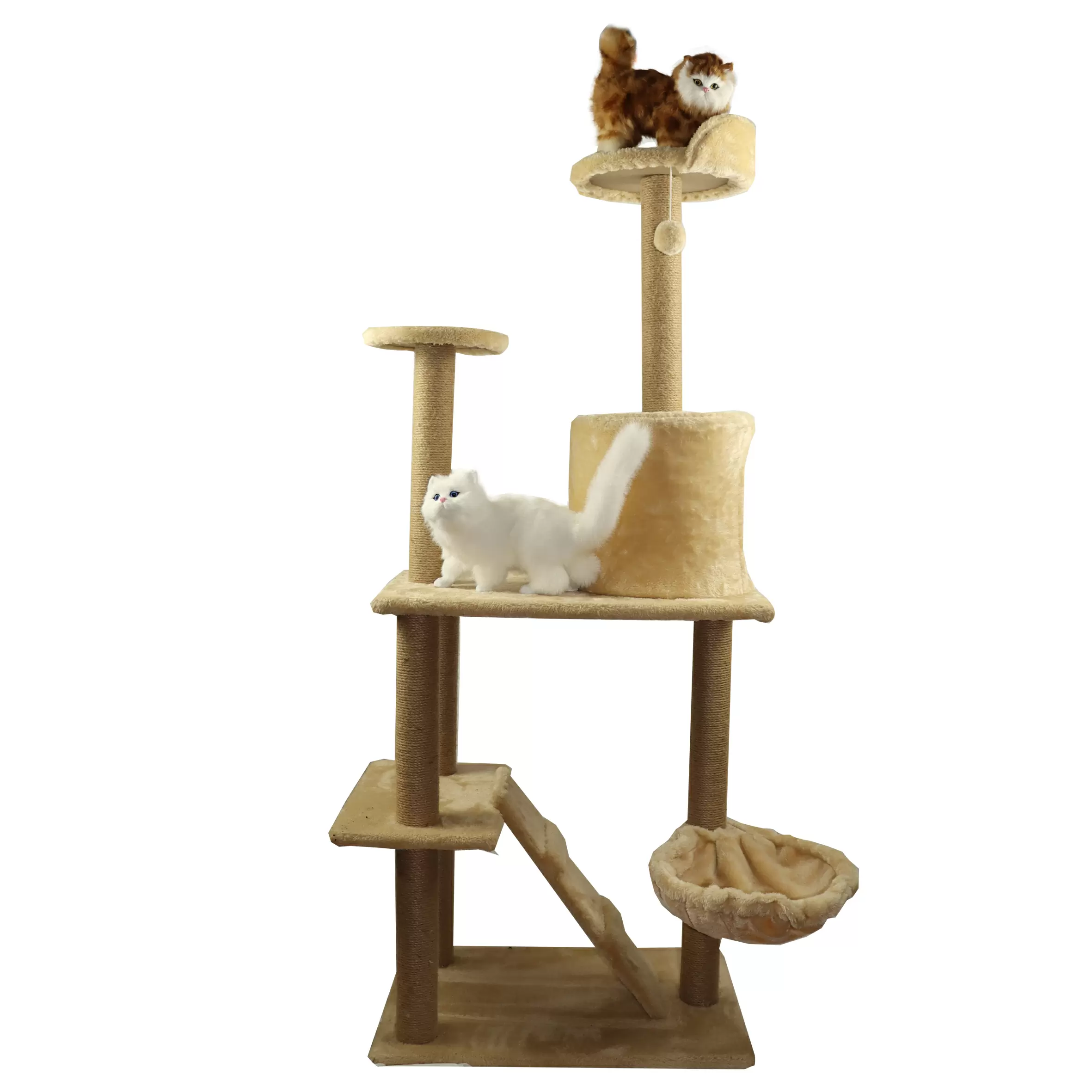 Cat Climbing Tree