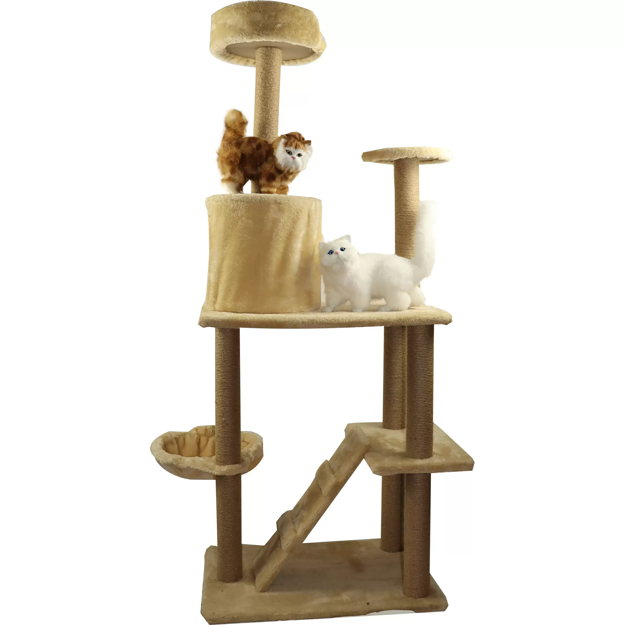 Cat Climbing Tree