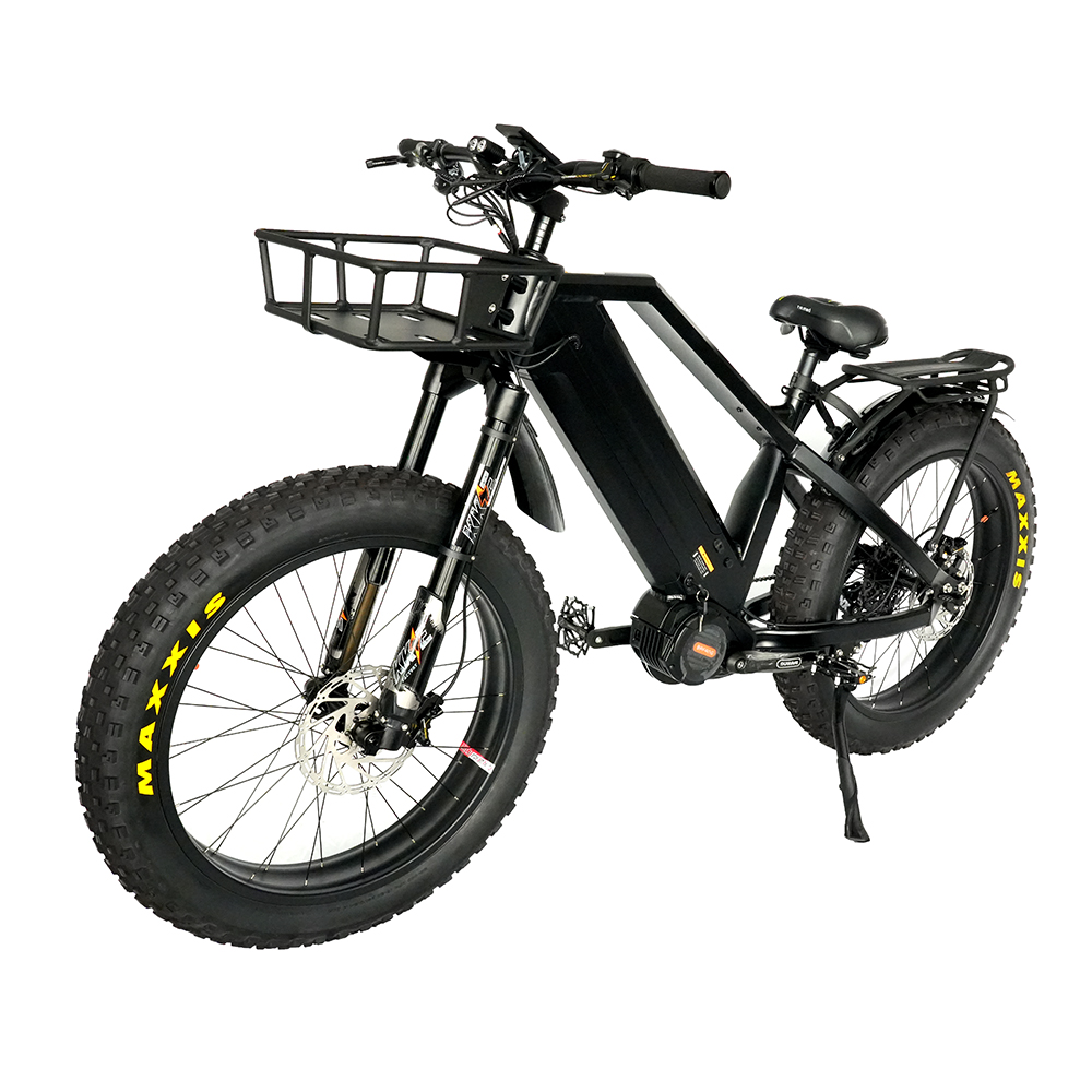 48V 1000W Bafang M620 Mid Motor Ebike With Dual Loong Batteries 48V15Ah*2pcs