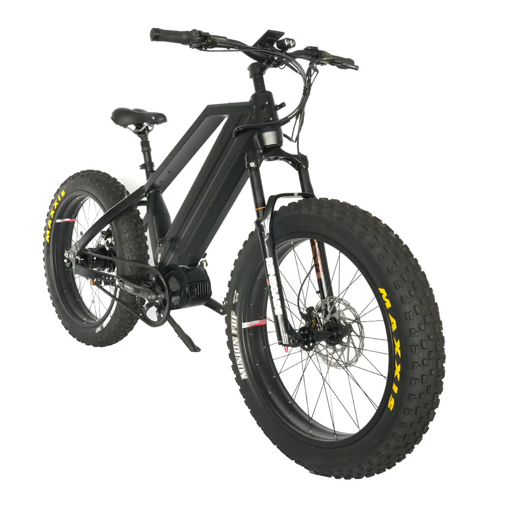 Dual Battery 48V 1000W Mid Drive Fat Tire Electric Bike with Rohloff IGH 14 Speeds Hub