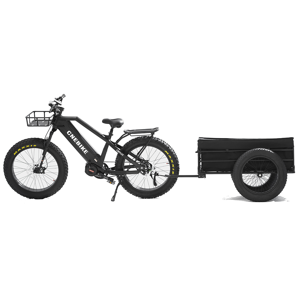 Dual Battery 48V 1000W Mid Drive Fat Tire Electric Bike with Rohloff IGH 14 Speeds Hub