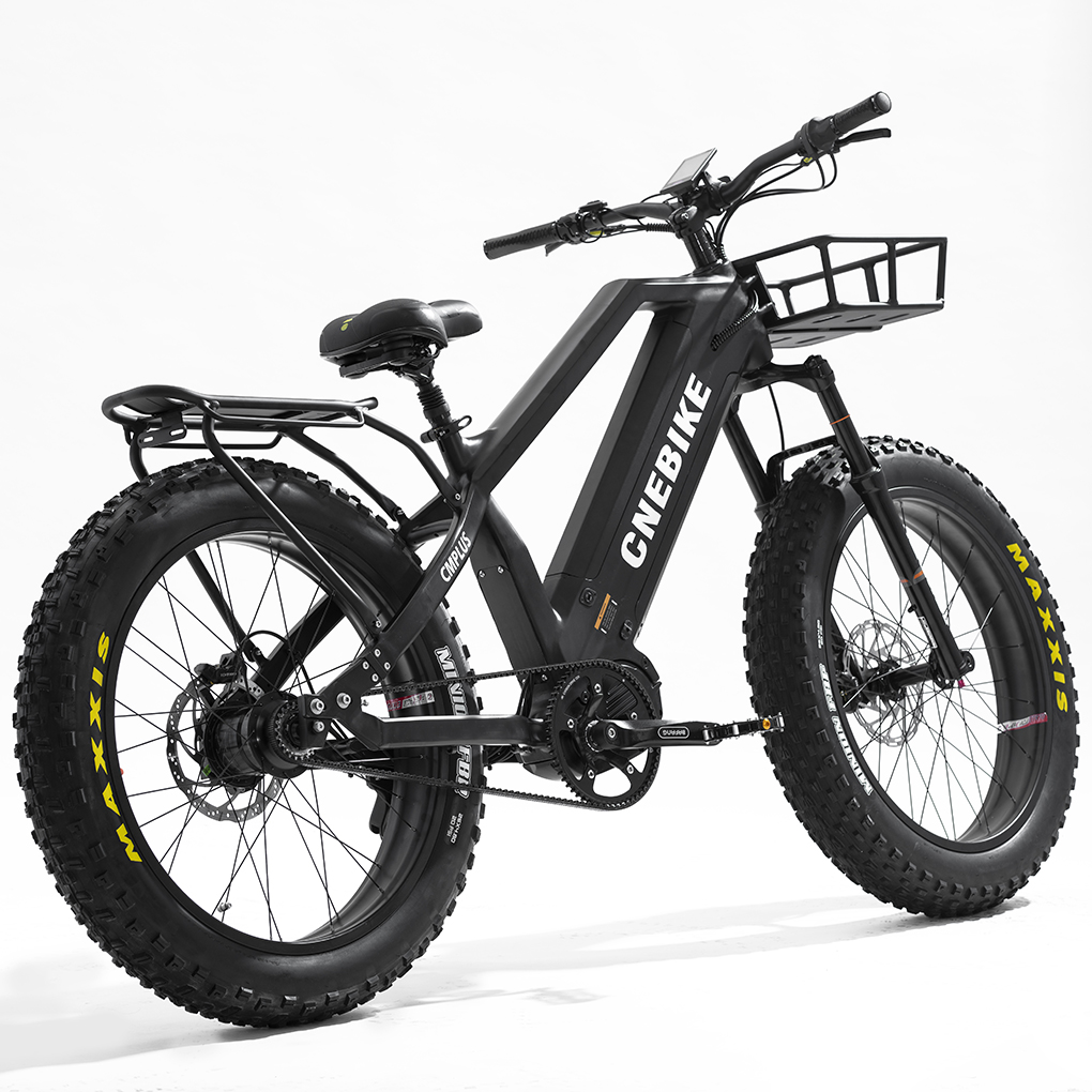 Dual Battery 48V 1000W Mid Drive Fat Tire Electric Bike with Rohloff IGH 14 Speeds Hub