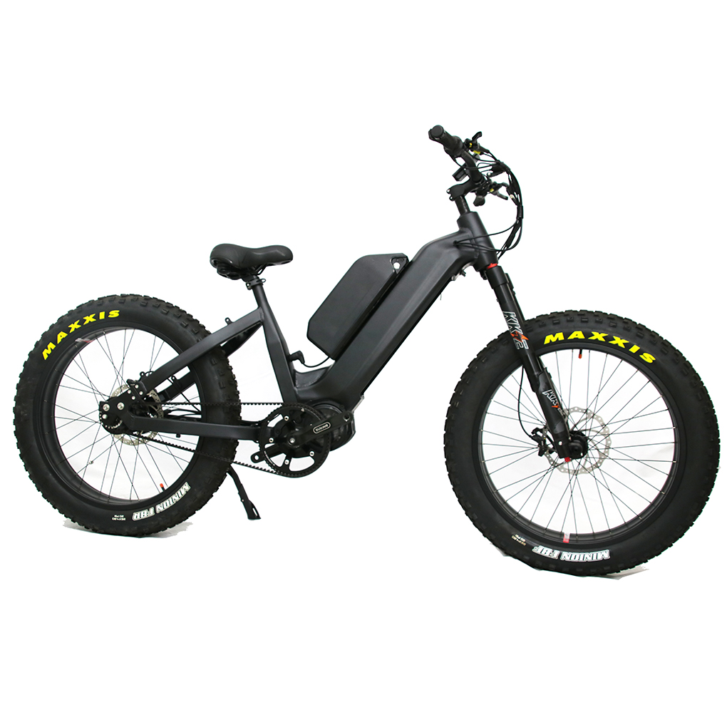 Rohloff 14 Speeds Hub Step Through 48V 1000W Electric Bike With 30Ah Inbuilt Battery All Terrain Electric Fat Tyre Bicycle