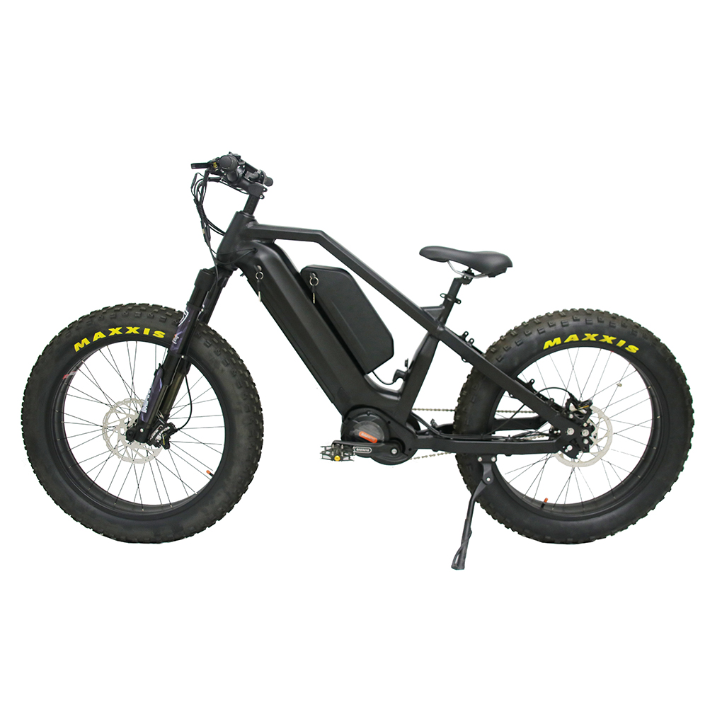 Rohloff 14 Speeds Hub Step Through 48V 1000W Electric Bike With 30Ah Inbuilt Battery All Terrain Electric Fat Tyre Bicycle