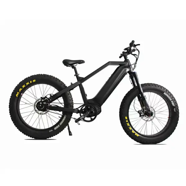 Ebikes - Changzhou Leili Vehichle Parts Co., Ltd.