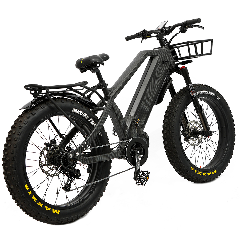 Dual Loong Electric Bike Batteries 48V15Ah*2pcs Bafang M620 1000W Mid Motor Hunting Ebike