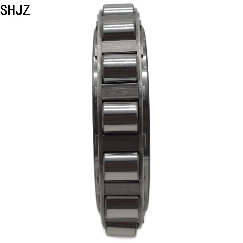 95*151.5*32mm SHJZ bearing RN219 cylindrical roller bearing