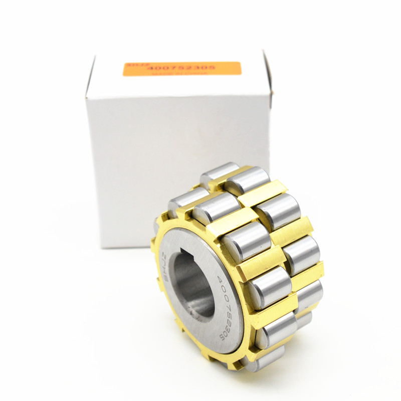SHJZ High Quality Eccentric Bearing 400752305 Cylindrical Roller Bearing 400752305