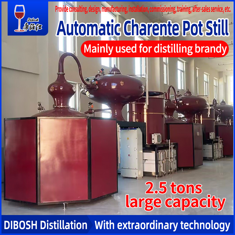 2500L Multi-spirits tequila distillery equipment