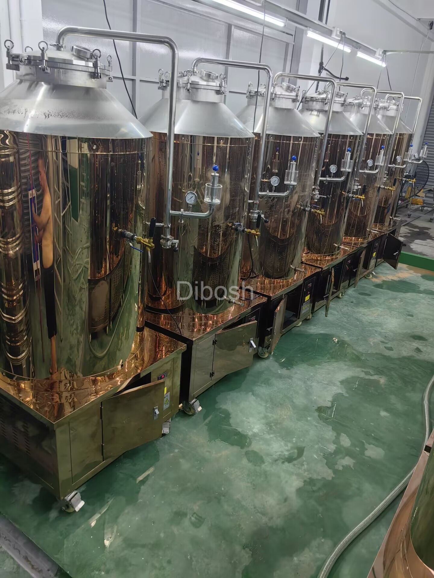 Dibosh craft beer equipment perfect delivery.