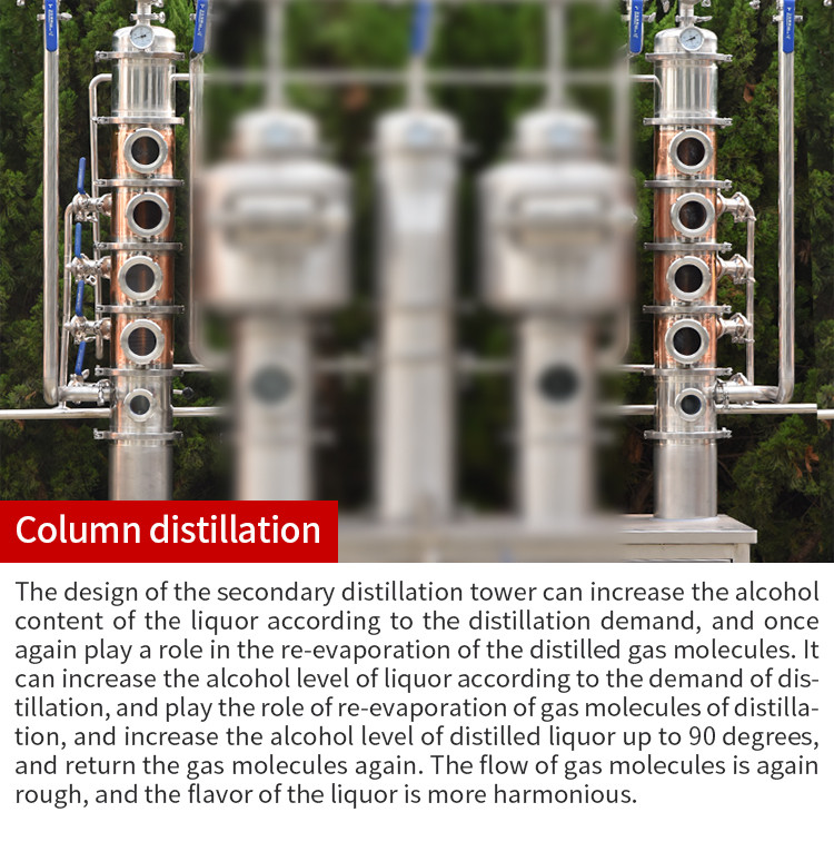 Manual whisky 250x2 (7).jpg