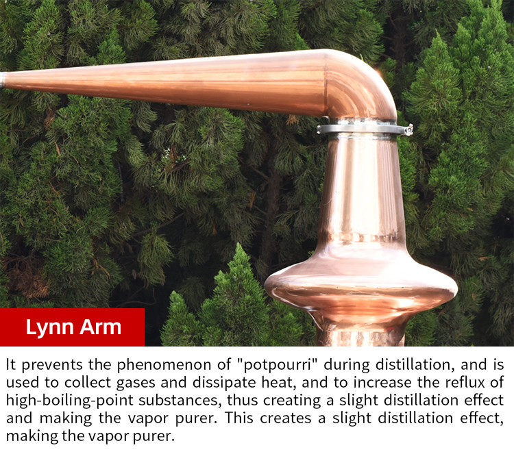 250Lx2 still gourd (6).jpg