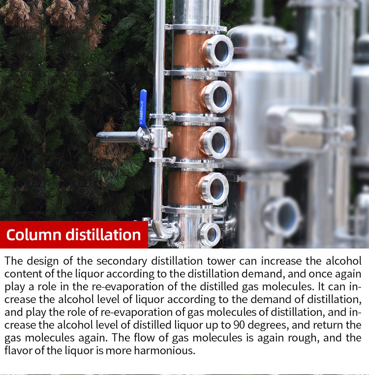 250Lx2 still gourd (8).jpg