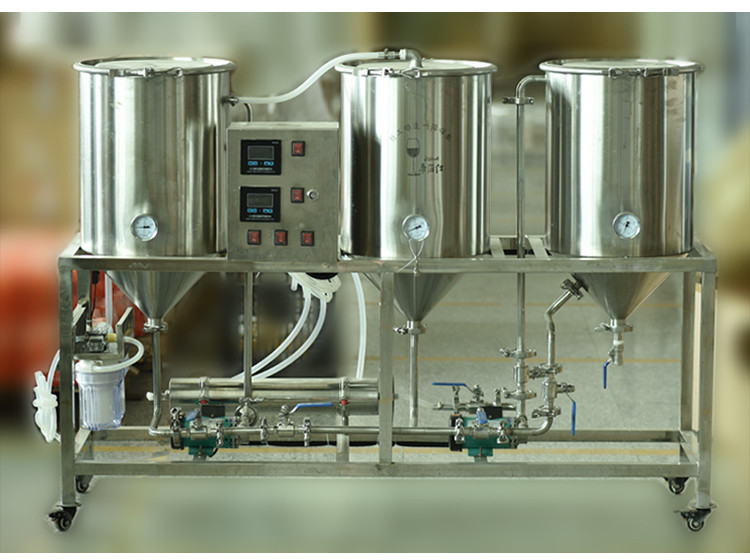 Beer homebrewer (12).jpg