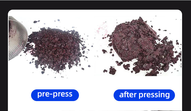 Fruit press (13).jpg