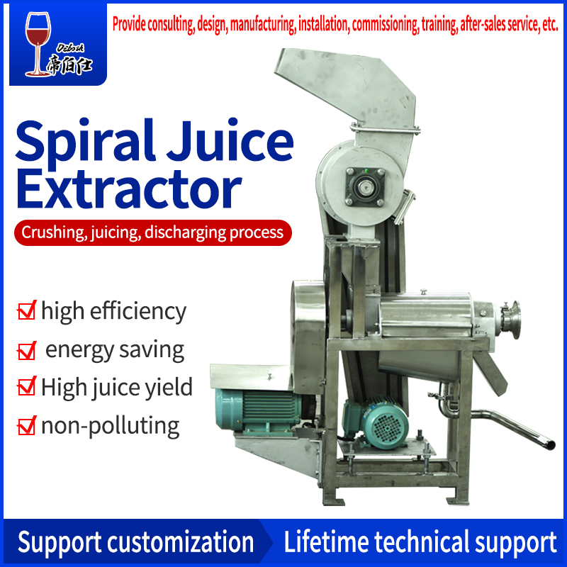 Spiral juicer