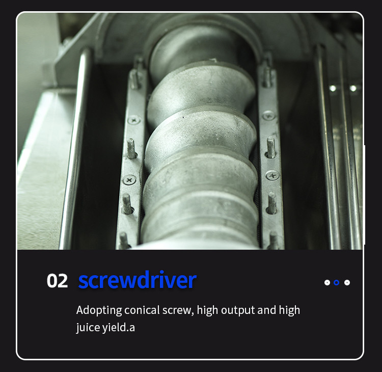 Juice Extractor (7).jpg