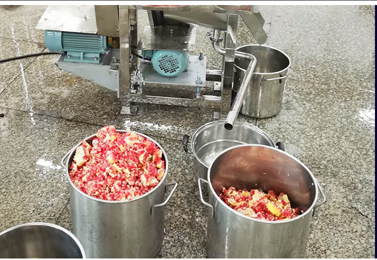 Juice Extractor (11).jpg