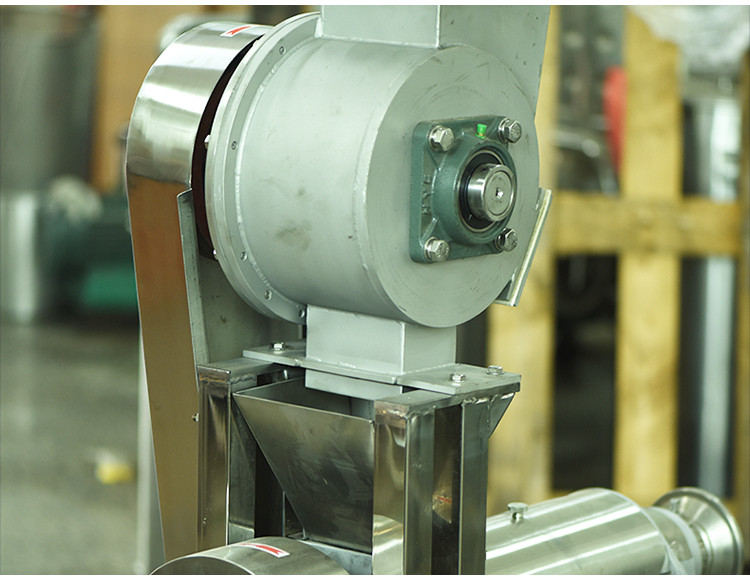 Juice Extractor (17).jpg