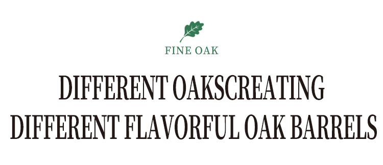 Wine oak barrel (3).jpg