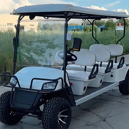 GA-6 Golf Cart