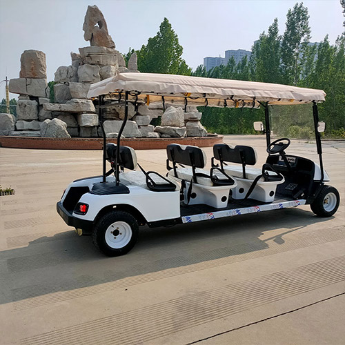 GA-6 Golf Cart