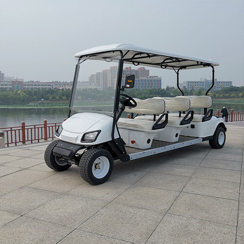 GA-6 Golf Cart
